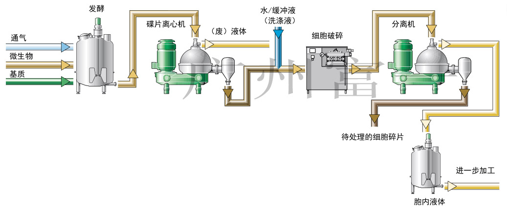 胞內(nèi)提取.png