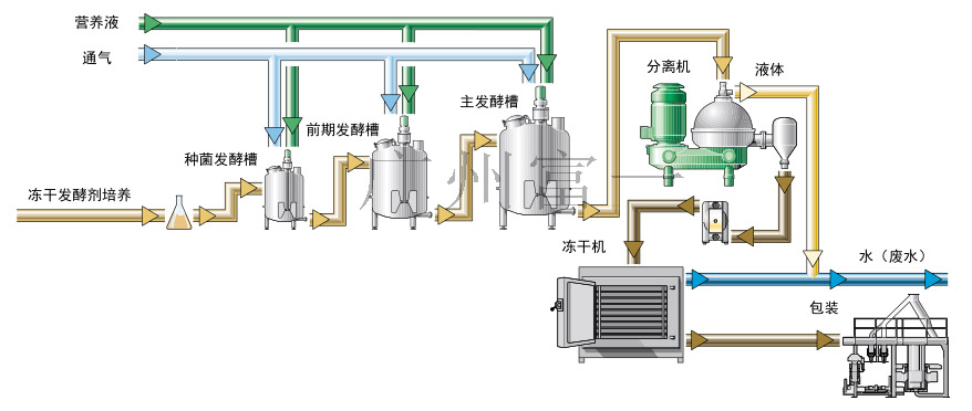 菌體分離提純工藝流程圖-廣州富一